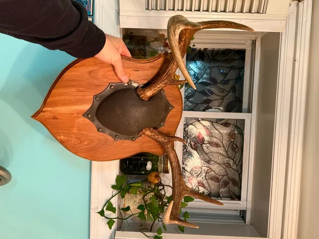 Dear antler mount image indicator(2)