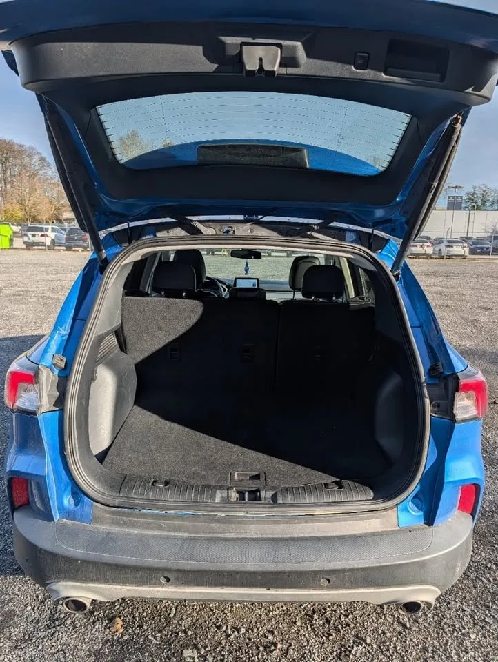 2021 Ford ESCAPE HYBRID TITANIUM image indicator(8)