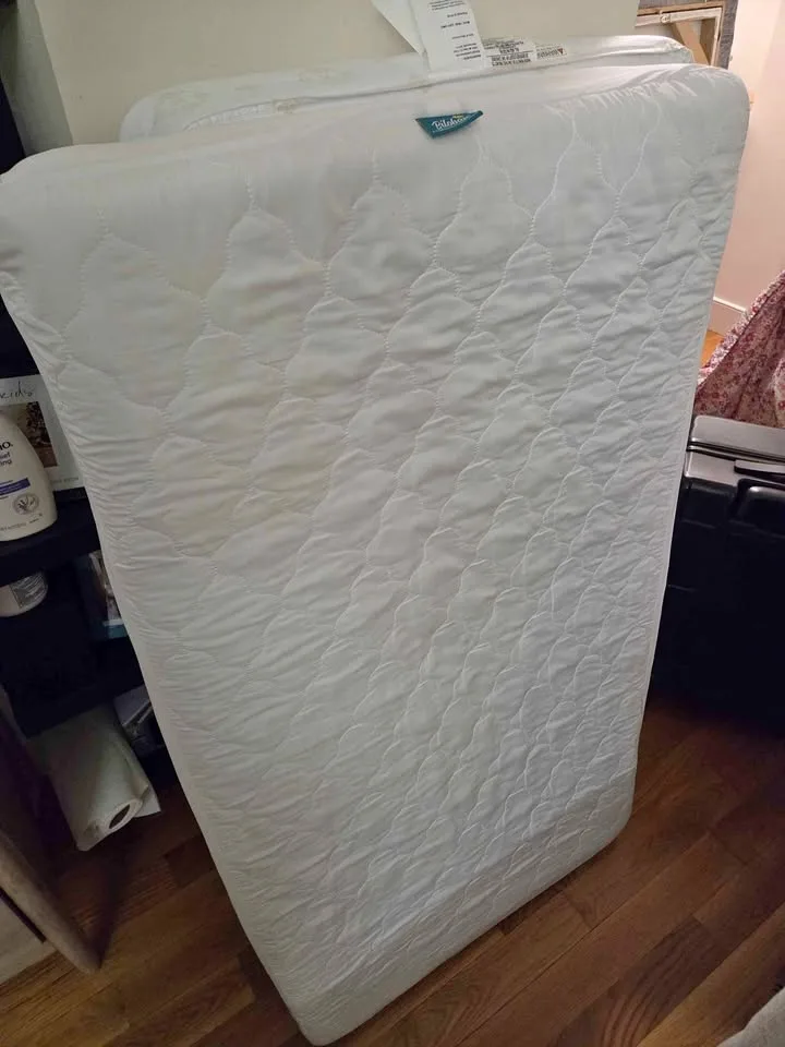 Crib mattress + protecting pad (Best offer)
