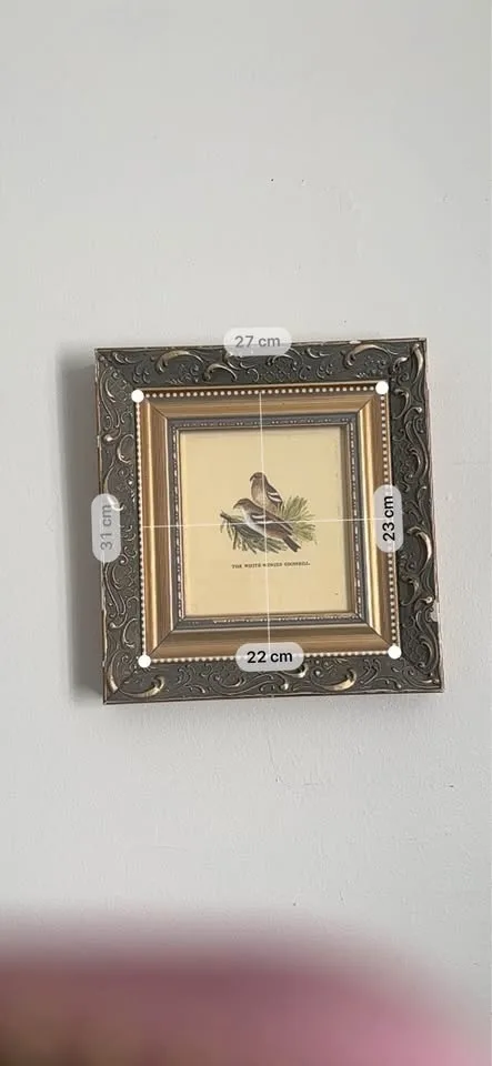 Vintage Bird Prints – Set of 2 Framed Illustrations image indicator(2)