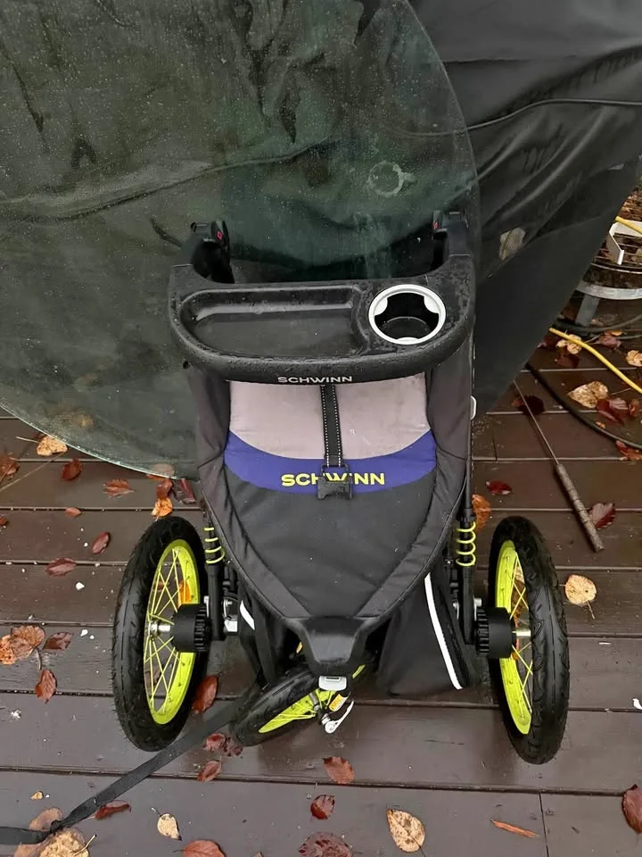 Schwinn Stroller and car seat