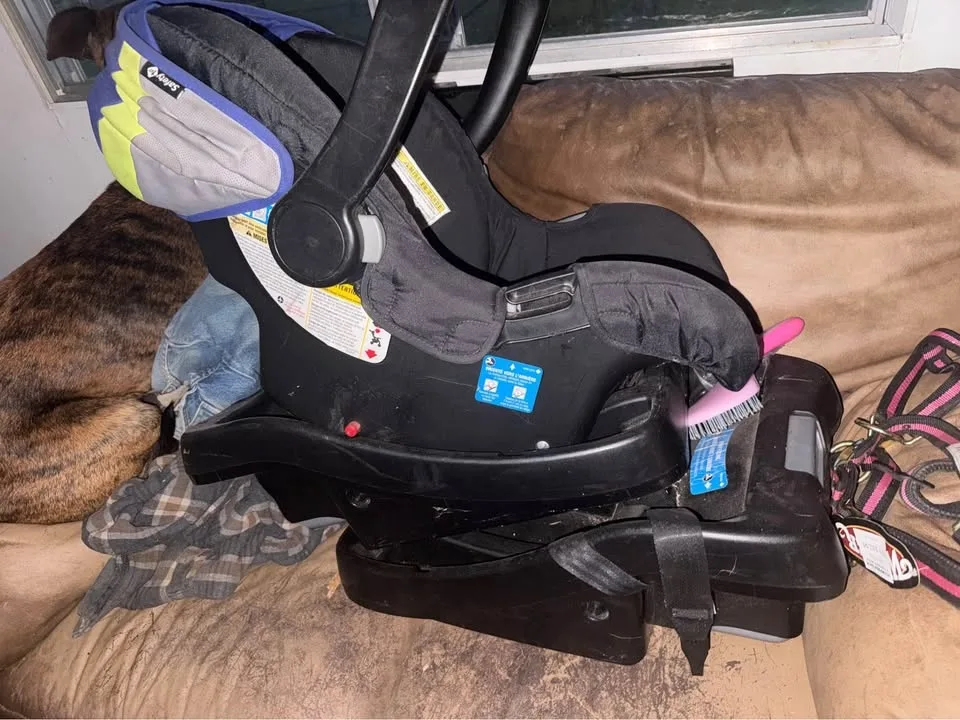 Schwinn Stroller and car seat image indicator(4)