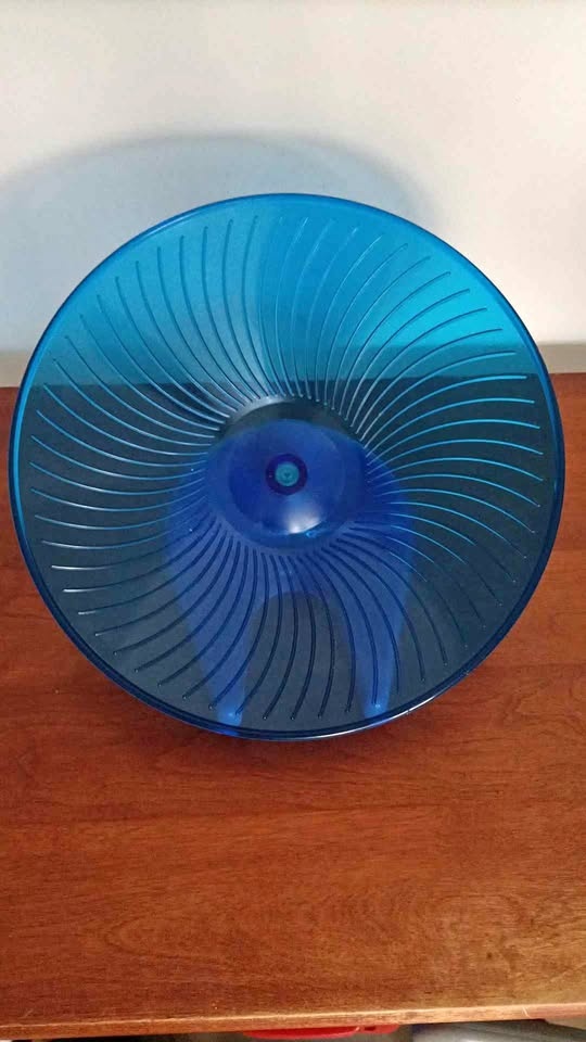 ‼️NEED GONE ASAP‼️Hamster Quiet Saucer Wheel