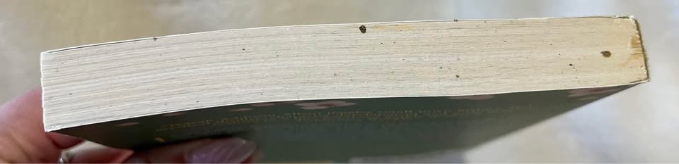 The Peach Keeper - Sarah Addison Allen (book) - photo 3