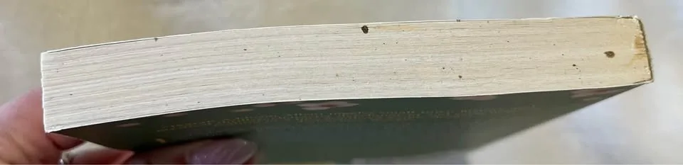 The Peach Keeper - Sarah Addison Allen (book) image indicator(3)