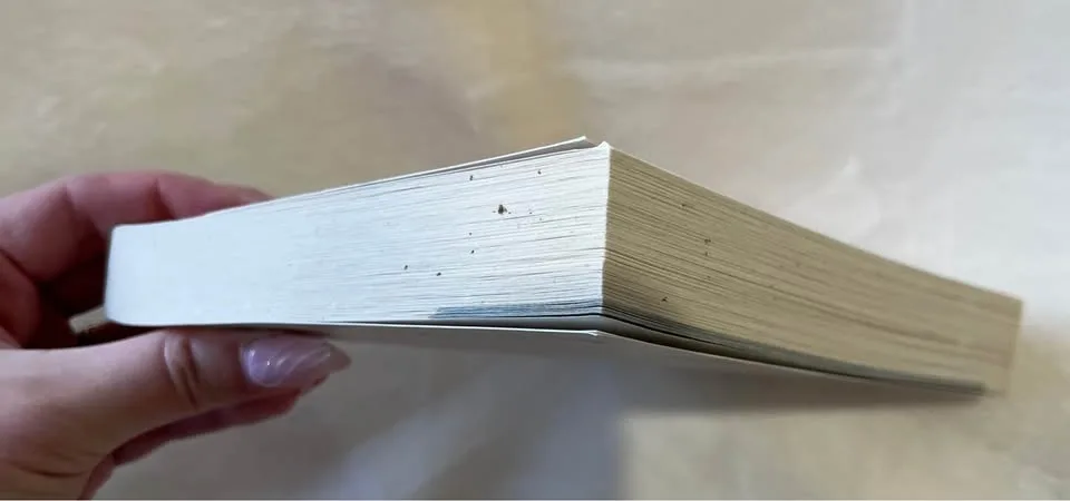 First Frost - Sarah Addison Allen (Book) image indicator(4)