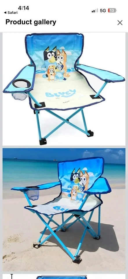 Folding Bluey Chair