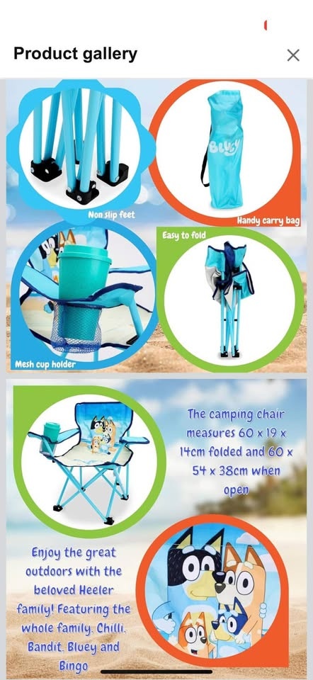 Folding Bluey Chair - photo 2