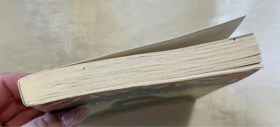 The Sugar Queen - Sarah Addison Allen (book) image indicator(3)