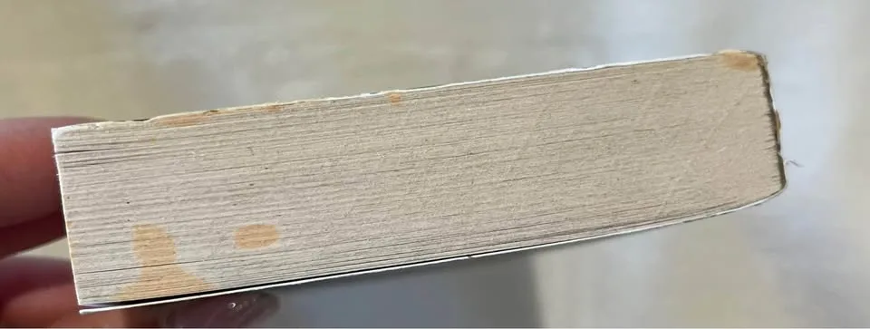 Lost Lake - Sarah Addison Allen (book) image indicator(3)