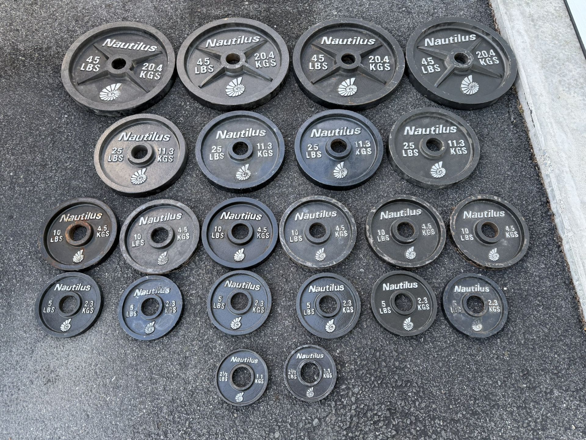 Nautilus Deep Dish Olympic Weight Plates