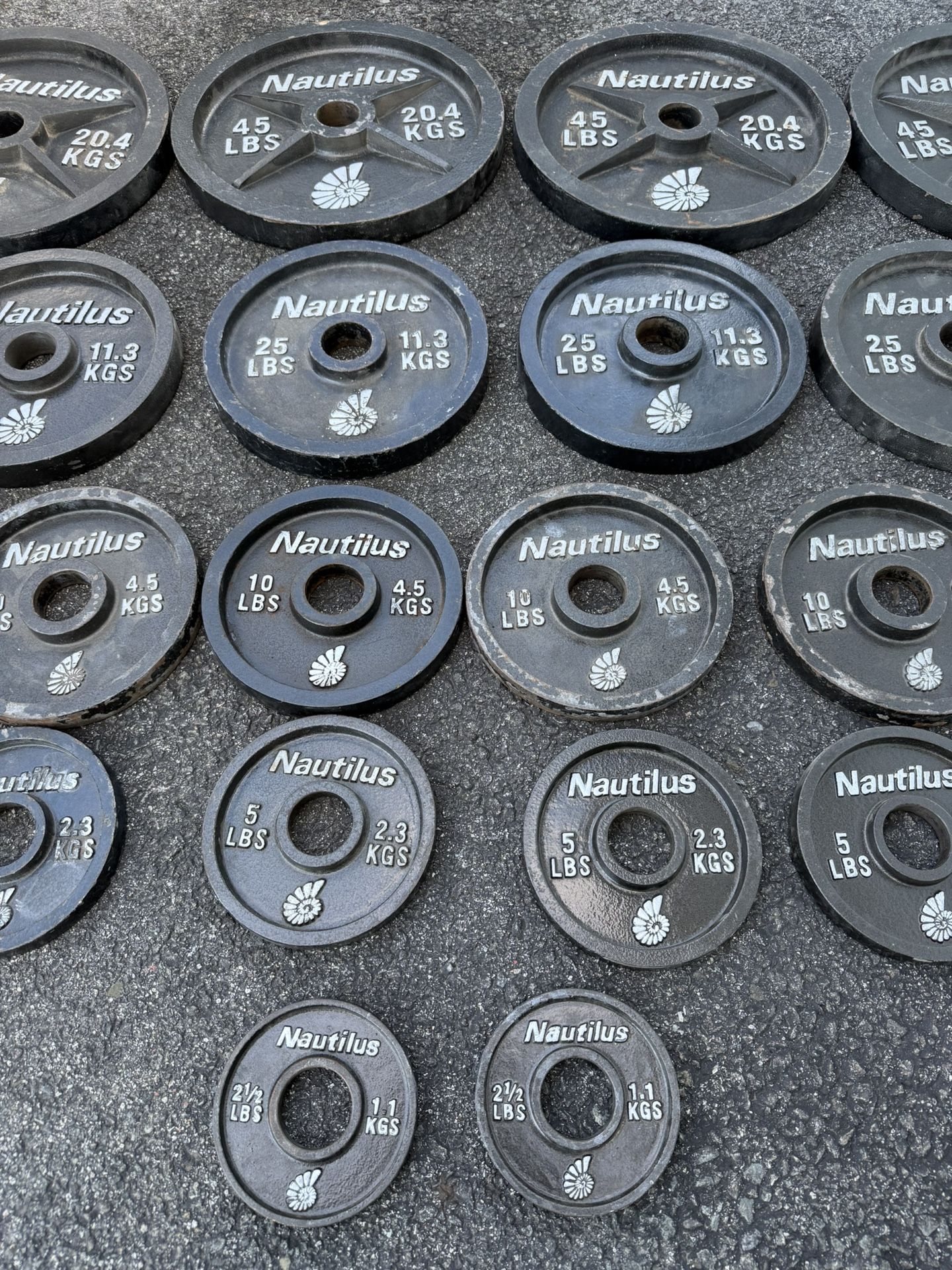 Nautilus Deep Dish Olympic Weight Plates - photo 3