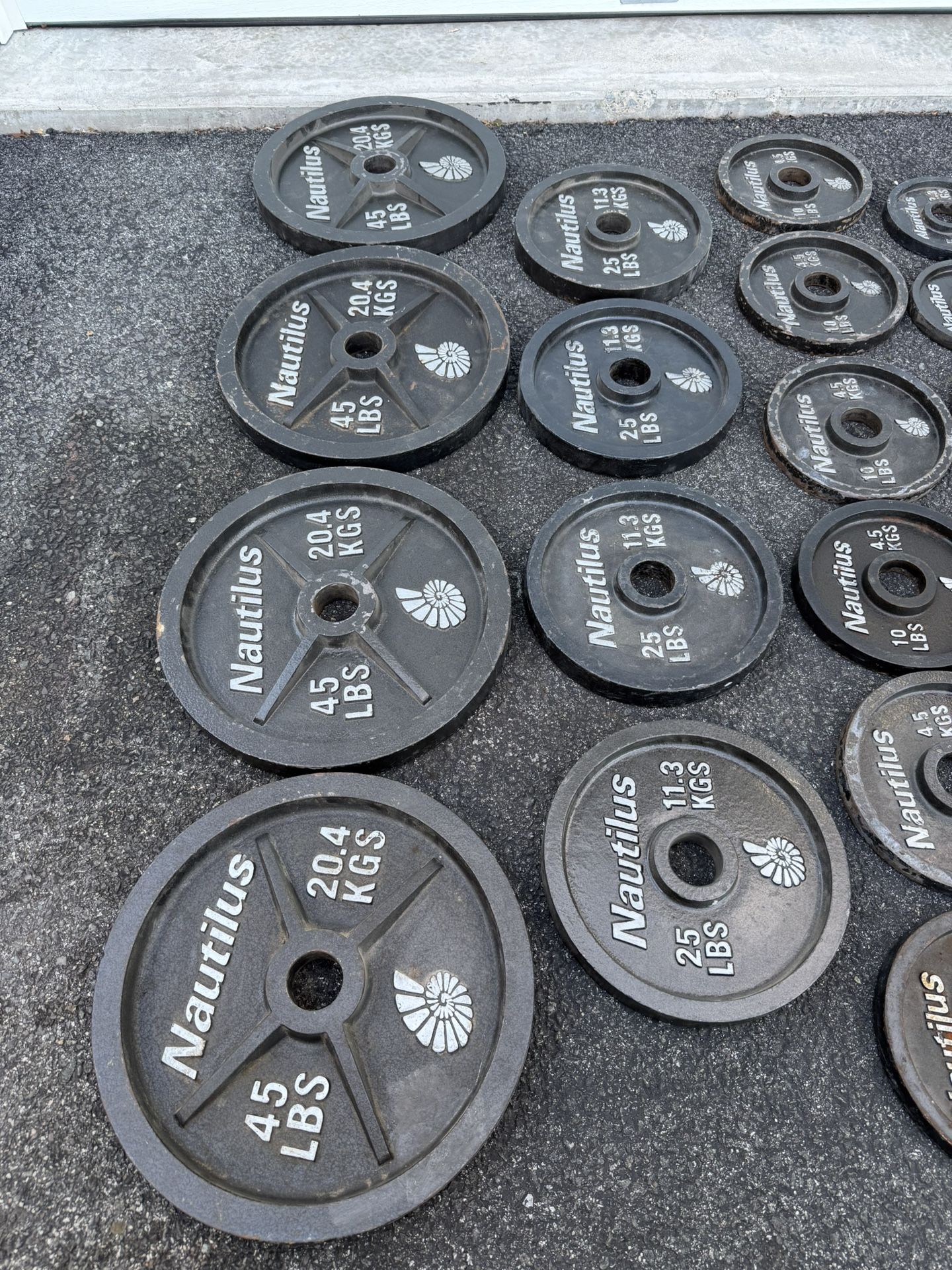 Nautilus Deep Dish Olympic Weight Plates - photo 4