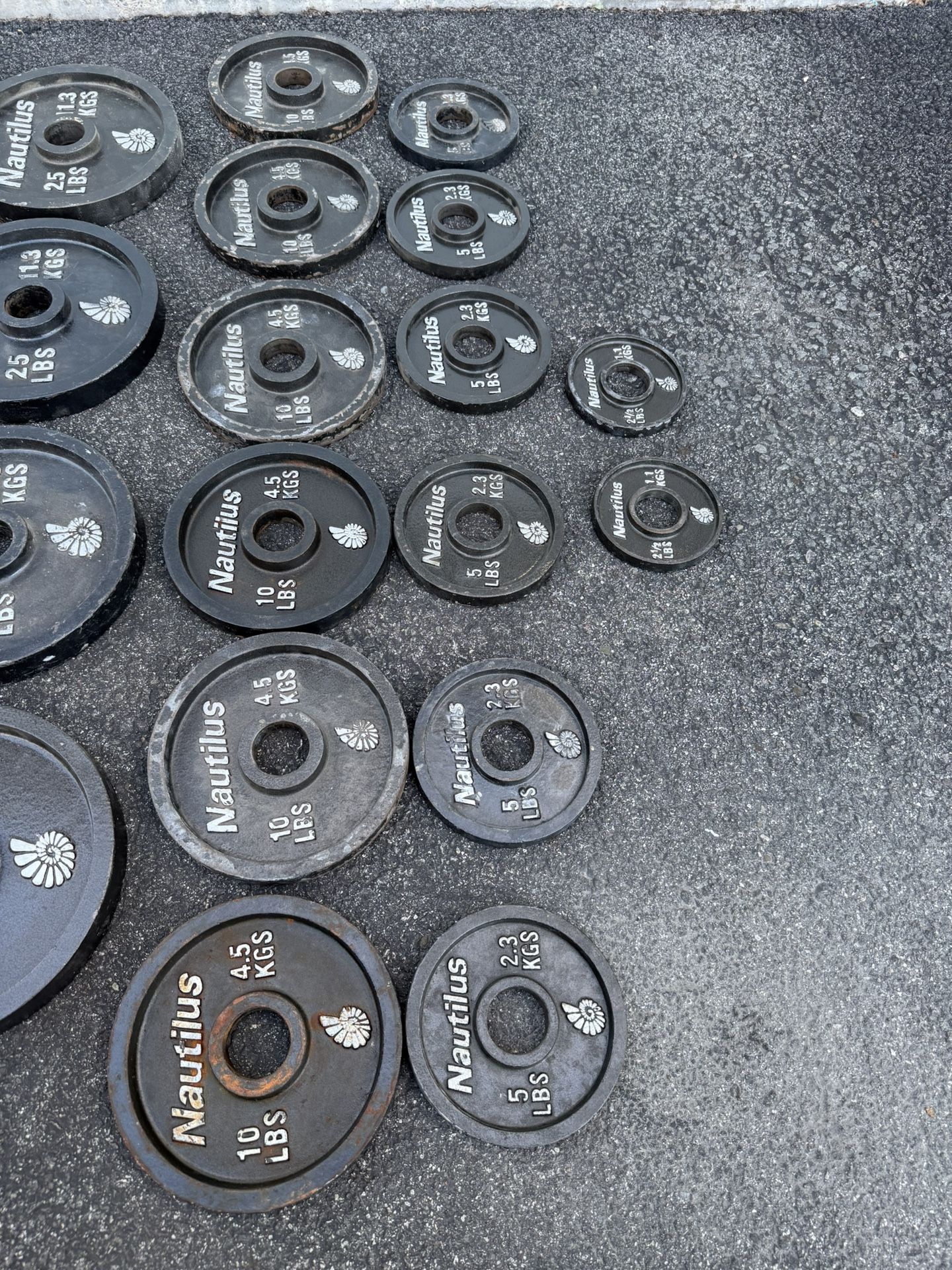 Nautilus Deep Dish Olympic Weight Plates - photo 5