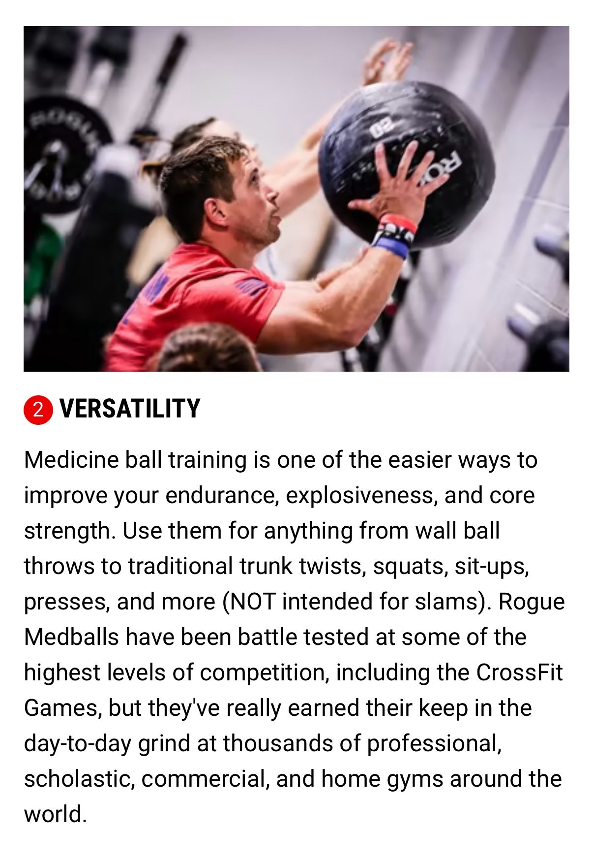 Rogue Fitness Wall/ Medicine Balls 🚨PRICES IN DESCRIPTION 🚨 - photo 5
