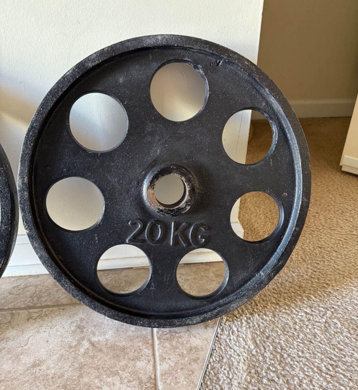 Tijuana Barbell Co. 45 Pound Revolver Olympic Weight Plates - photo 3