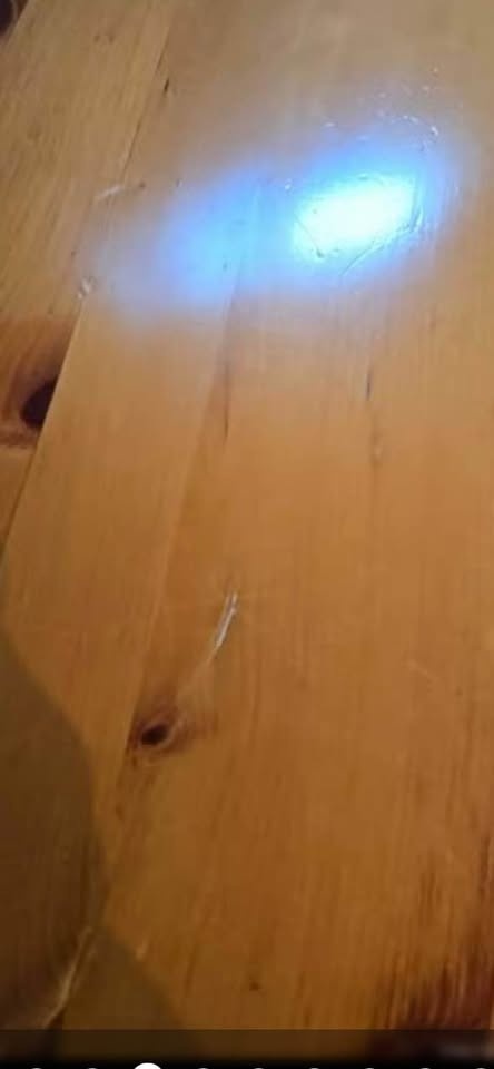 Round dining table - very sturdy - photo 5