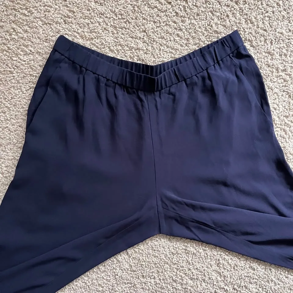 Eileen Fisher Silk Pants Size Medium image indicator(3)