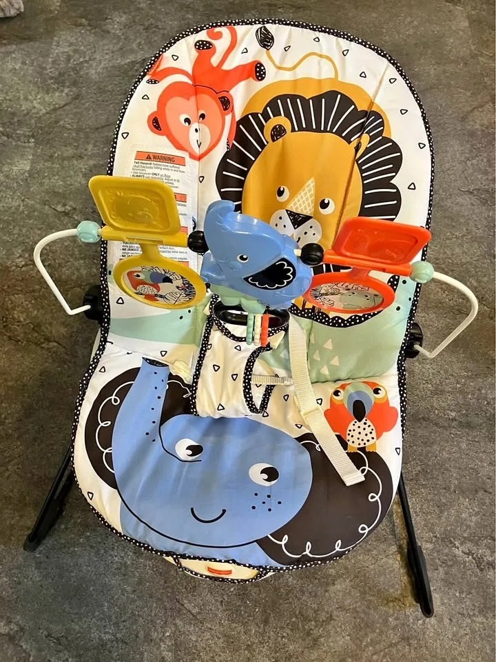 Fisher Price Baby Bouncer