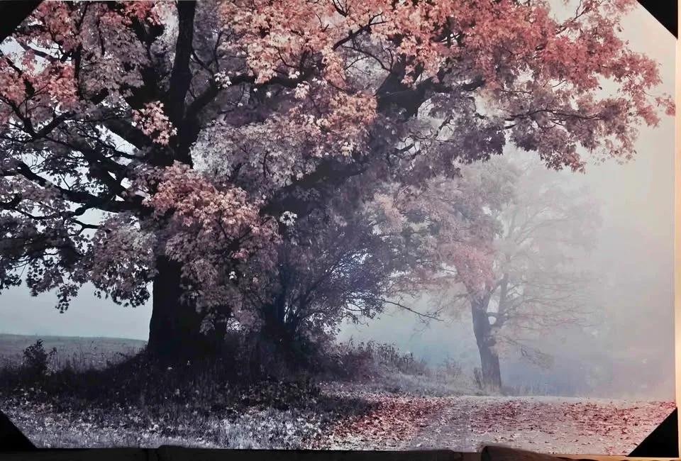 NEW Fall color Canvas Wall decor