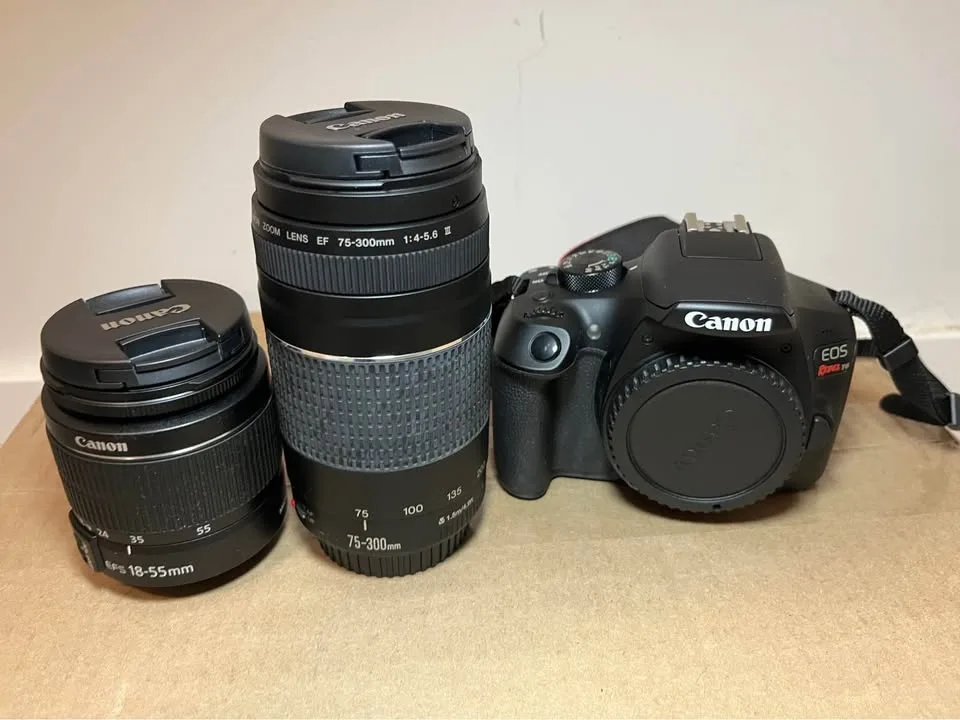 Canon Rebel T6+ kits lens + Canon EF 75-300 + canon bag image indicator(4)