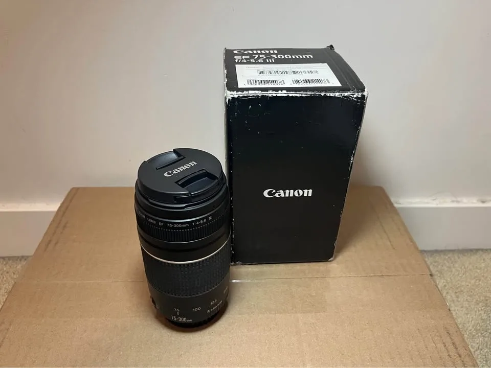 Canon Rebel T6+ kits lens + Canon EF 75-300 + canon bag image indicator(5)