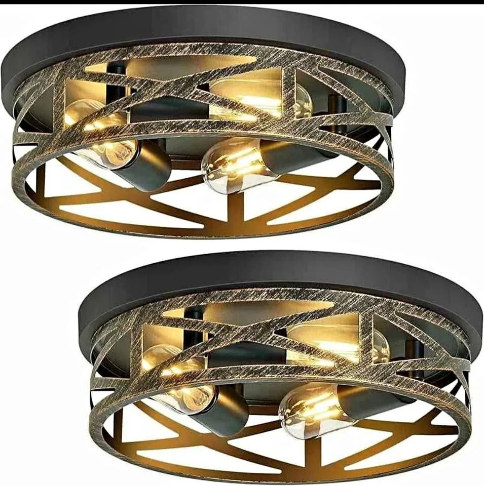 2 flush mount ceiling light