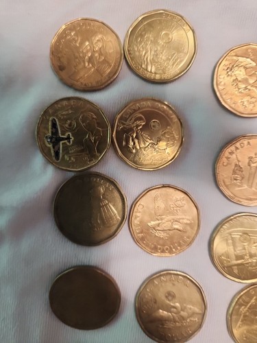 Canadian Conmemorative Loonies Lot 24 Coins - photo 4