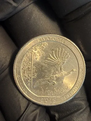 🇺🇸 US Quarter coin, American 25 cents, Kisatchie National Forest image indicator(10)