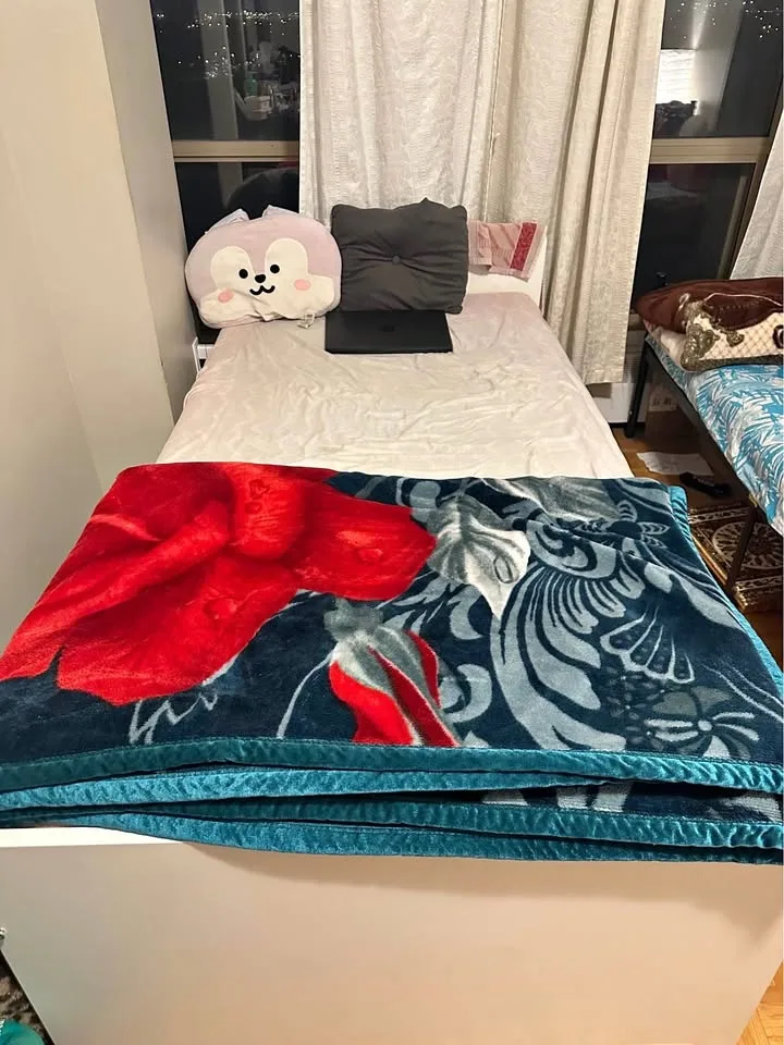 Twin bed frame and mattress