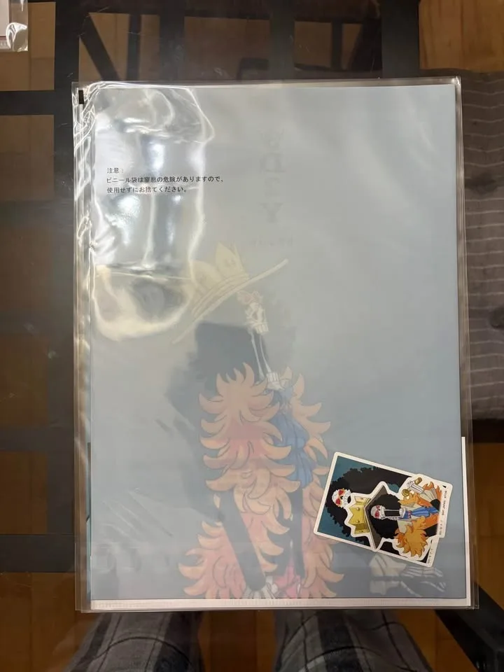 One Piece folders official merch image indicator(7)