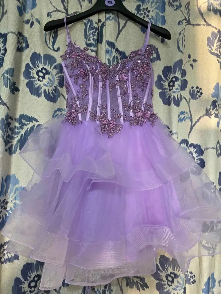 Birthday party dress 👗 xv..quinceñera image indicator(7)