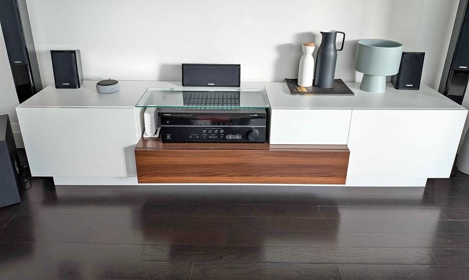 Mid-Century Modern TV Stand / Entertainment Centre