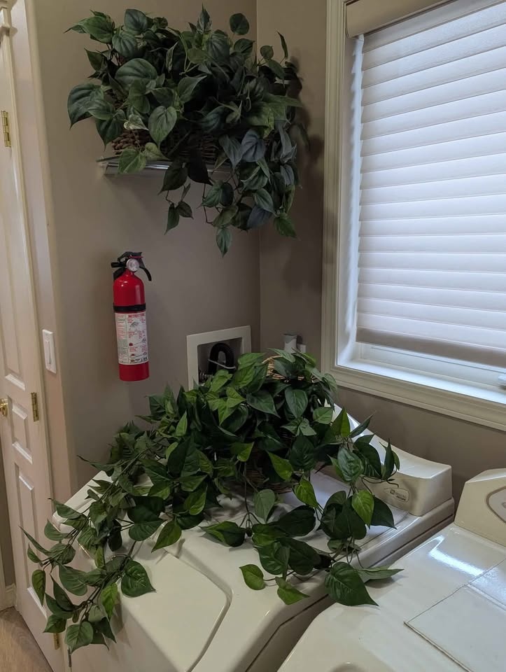 Silk plants (small) it's available separately pricing each - photo 4