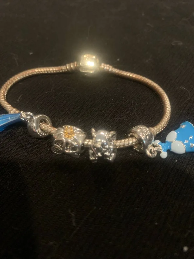 Pandora Bracelet