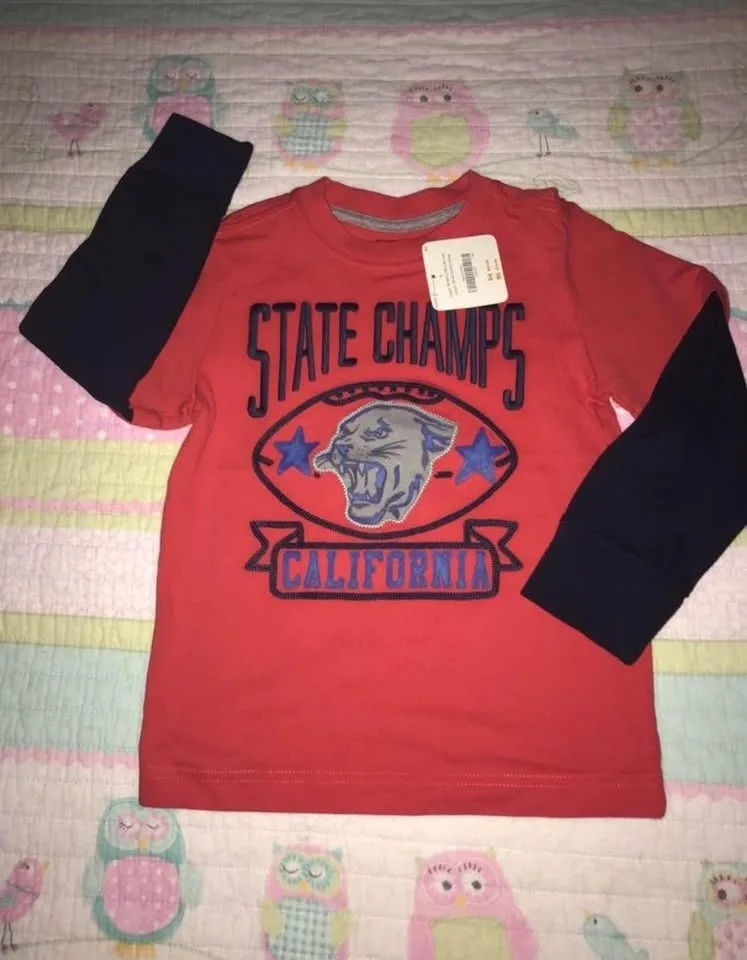 BNWT Gymboree boys size 4 outfit. Buy 3+ sets $15 each image indicator(2)