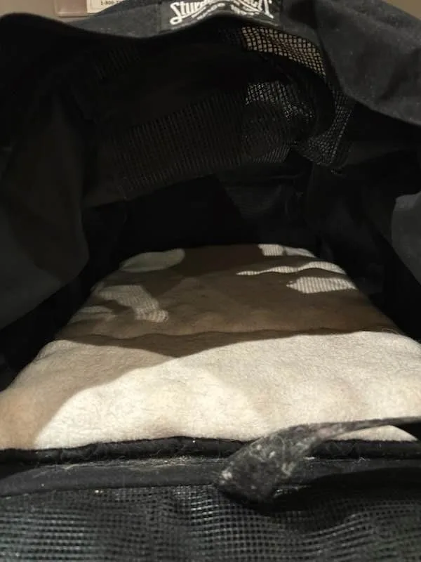 Pet travel bag/ carrier image indicator(3)