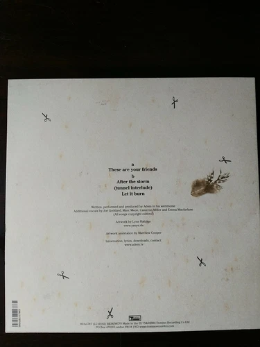 ADEM These Are Your Friends Vinyl 10" 33 ⅓ RPM - photo 3