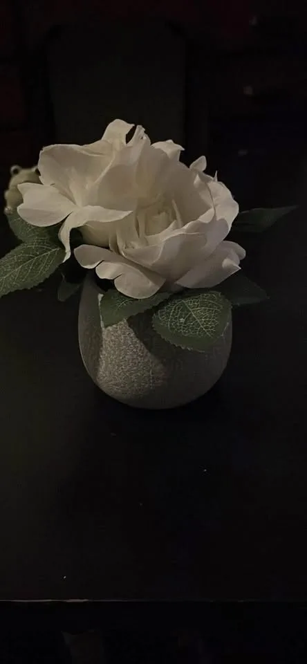 Showpiece image indicator(2)