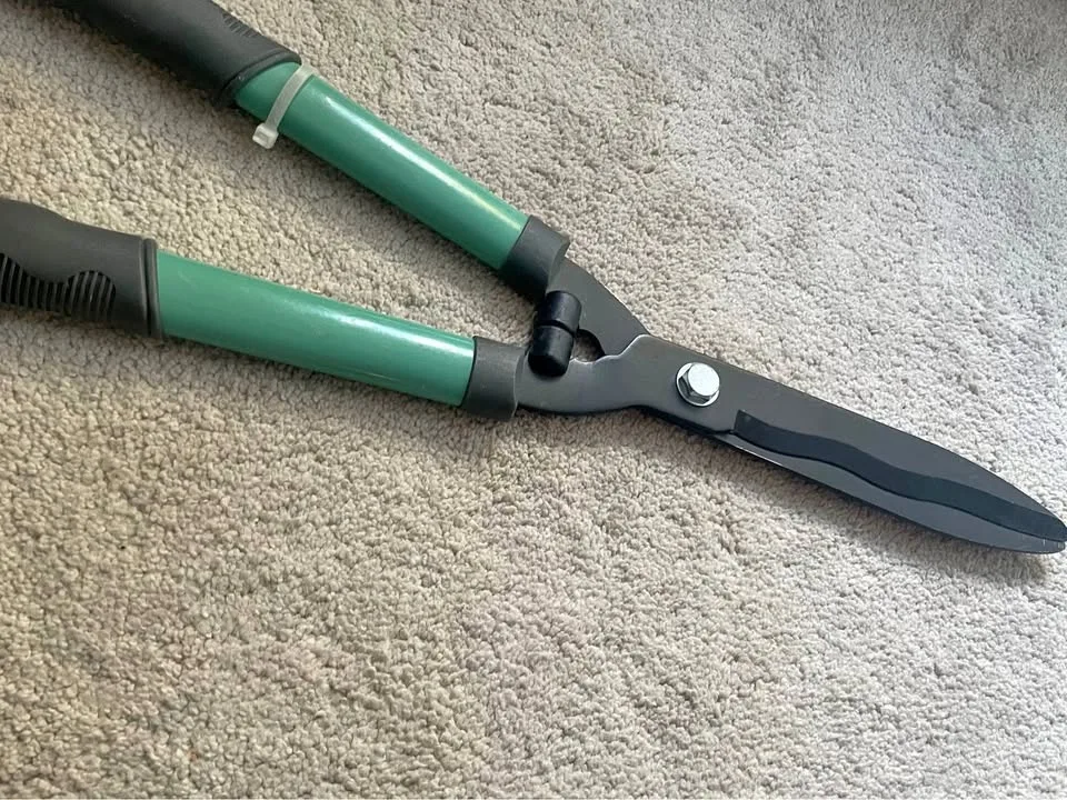 Pruning scissors