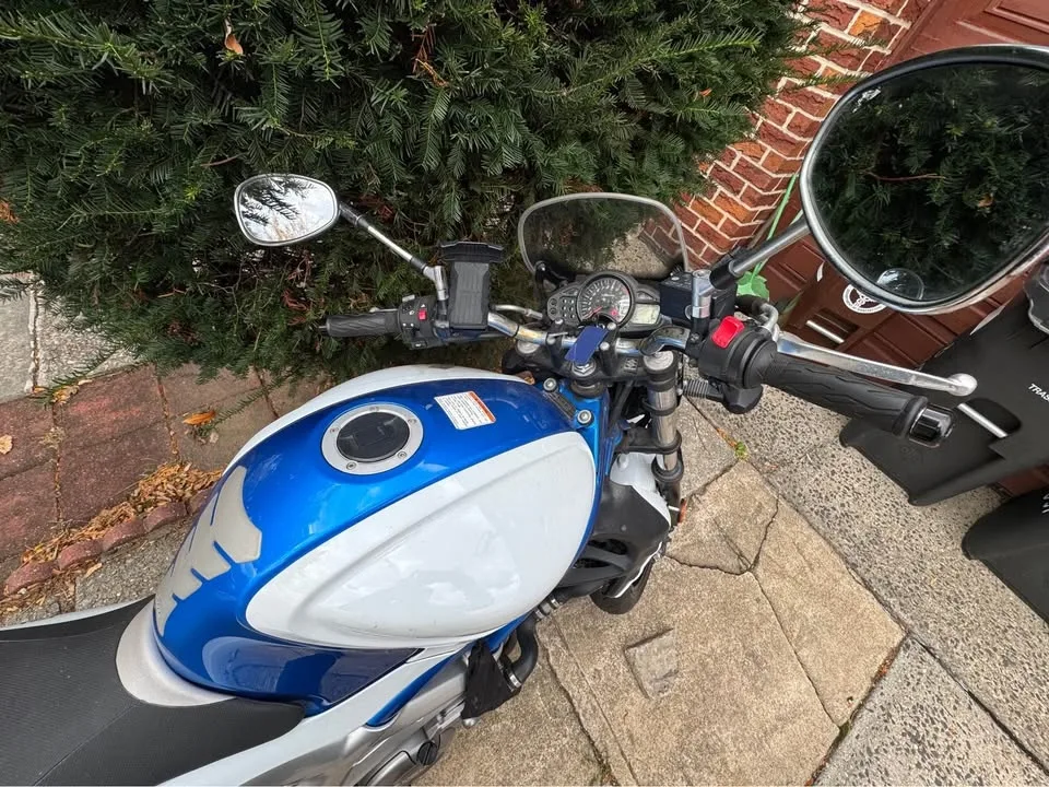 2009 Suzuki SFV650 image indicator(8)