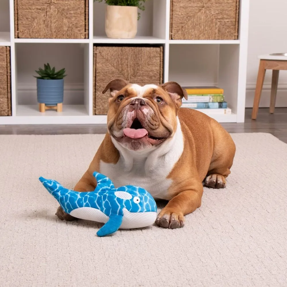 Silent Dog Chew Toy image indicator(4)