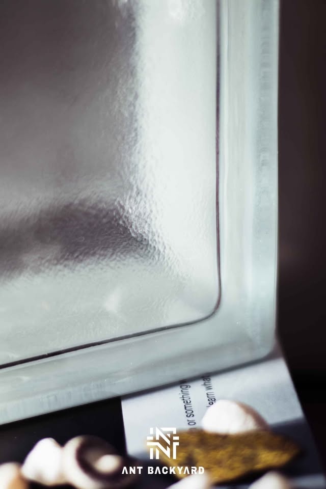 In stock Glass Block 13000020 - photo 3