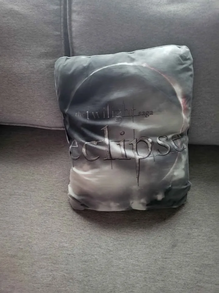 Jacob pillow image indicator(2)