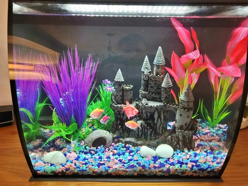 Fluval Flex 15 Gallon plus accessories