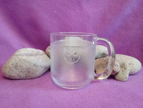 Vintage Beer Stein Mug Frosted Glass. Frosty Embossed Effect. Ni