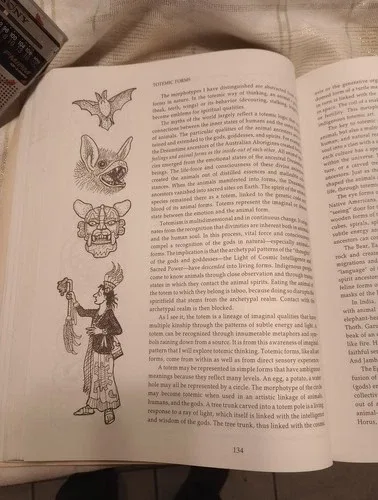 Sacred Ground to Sacred Space image indicator(10)