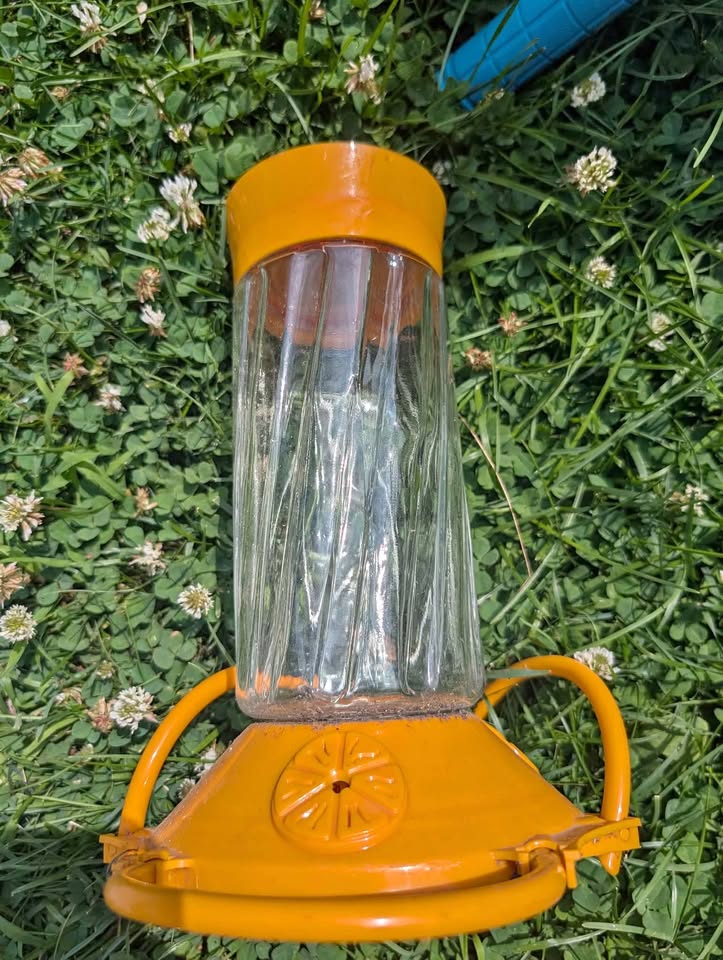 Bird feeder