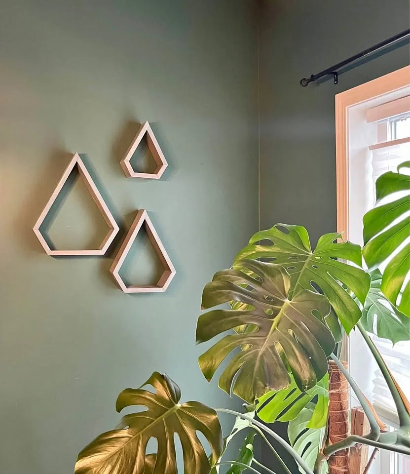 Diamond shaped plant shelves