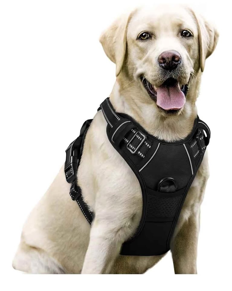 Dog harness size L